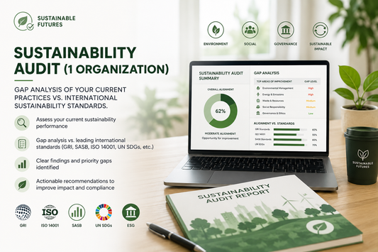 Service Sustainability audit (1 org)