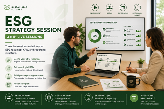 ESG strategy session (3 x 1h)